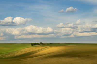 Scenic view of agricultural field against sky