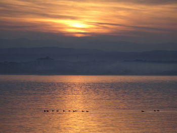 Scenic view of sea against orange sky