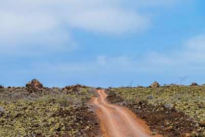 Dirt road passing through field
