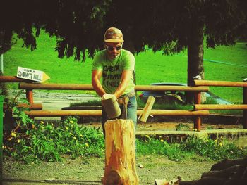 Trees in park