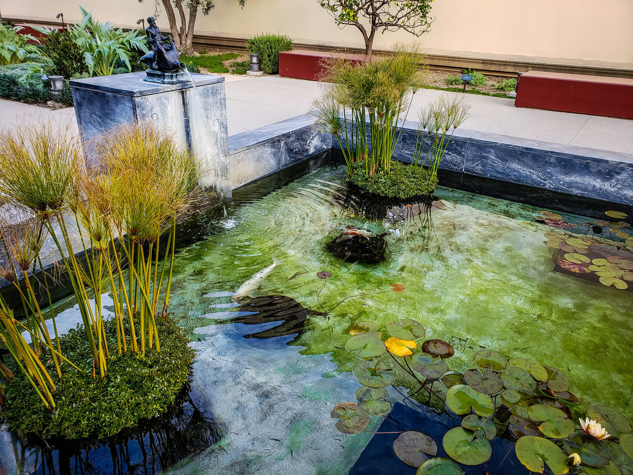 HIGH ANGLE VIEW OF PLANTS BY POND