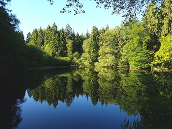 Reflection of trees in lake against sky