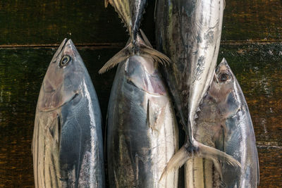 Close-up of fish displayed in market