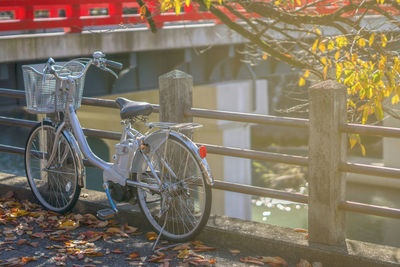 Bicycle parked by railing during autumn