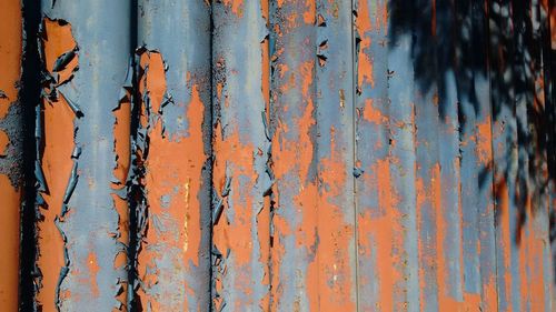 Sunlight falling on corrugated iron