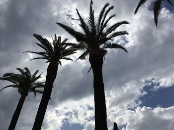 Low angle view of silhouette palm trees against sky