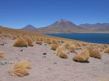 Scenic view of mountains against clear blue sky