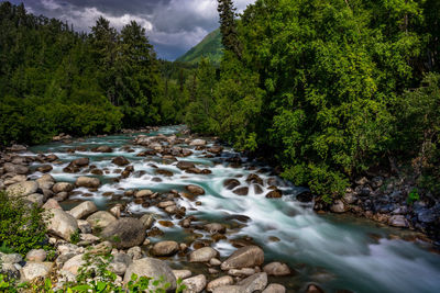 Scenic view of waterfall in forest against sky