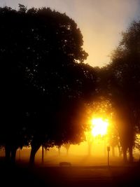 Silhouette trees on field against sky during sunset