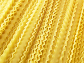 Lasagnette pasta on the white background