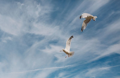 Low angle view of seagulls flying against cloudy sky