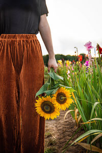 Midsection of person standing on sunflower field