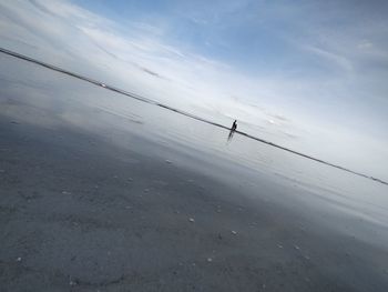 Silhouette birds on beach against sky