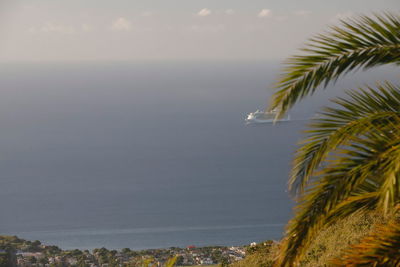 Palm tree by sea against sky