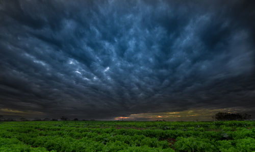 Scenic view of field against dramatic sky