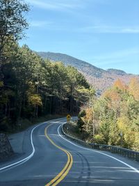 Empty road amidst trees against sky