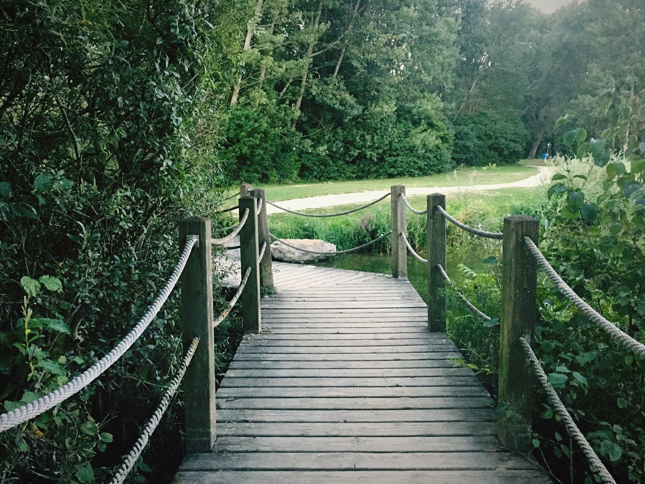 the way forward, tree, railing, wood - material, tranquility, boardwalk, growth, forest, tranquil scene, footbridge, green color, nature, steps, plant, wooden, beauty in nature, wood, scenics, day, outdoors