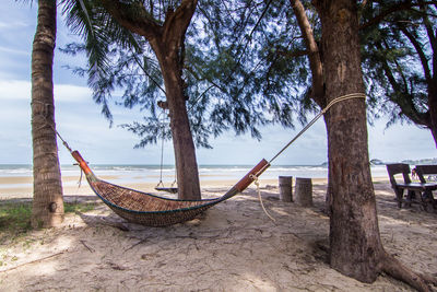 Hammock hanging amidst trees at beach