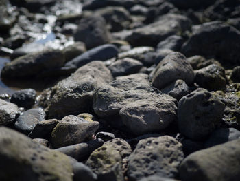 Surface level of pebble beach