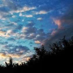 Low angle view of silhouette trees against sky