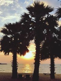 Silhouette palm trees on beach against sky during sunset