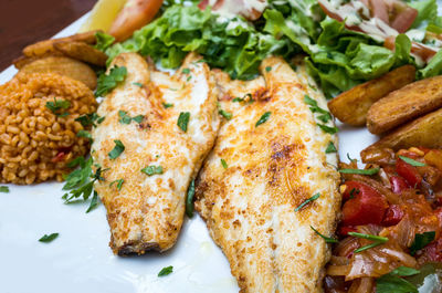 Close-up of grilled fish with salad