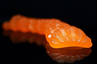 Close-up of orange flower on black background