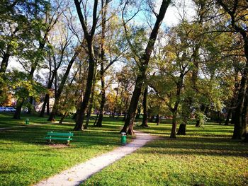 Trees in park during autumn