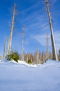 Scenic view of snow covered field against sky