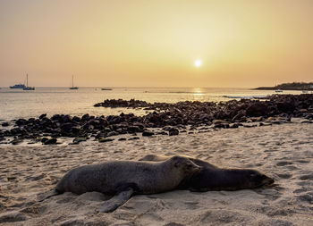 Scenic view of sea against sky during sunset