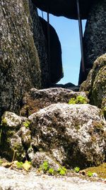 Rock formation by plants against sky