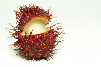 Close-up of apple against white background