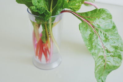 High angle view of rhubarb in container on gray background