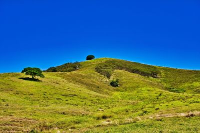 Scenic view of landscape against clear blue sky