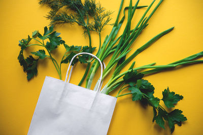 Close-up of herbs in paper bag over yellow background