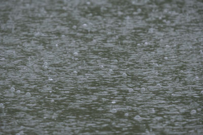 Full frame shot of raindrops on water