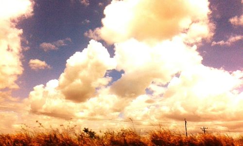 Scenic view of landscape against cloudy sky