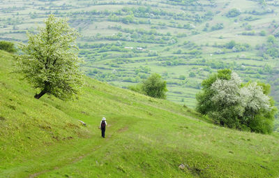 Rear view of woman on field