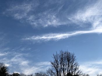 Low angle view of bare tree against blue sky