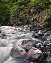 Stream flowing through rocks in forest