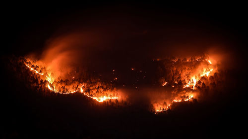 Forest burning in night