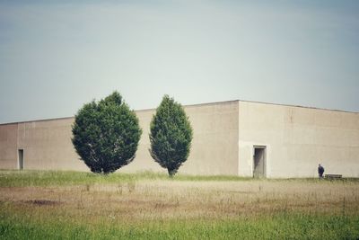 Plants growing on field by building against sky