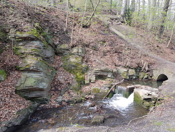 View of stream flowing through rocks in forest