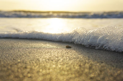 Close-up of frozen sea against sky during sunset