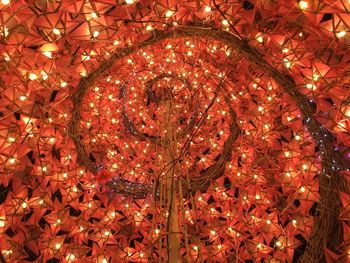 Low angle view of illuminated lanterns hanging on christmas tree