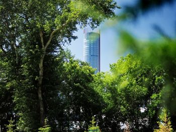 Low angle view of trees and buildings against sky