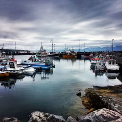 Boats moored at harbor