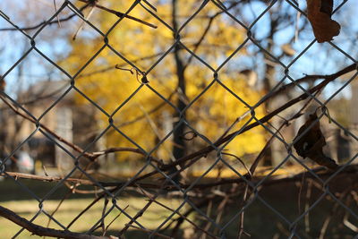 Close-up of chainlink fence against sky