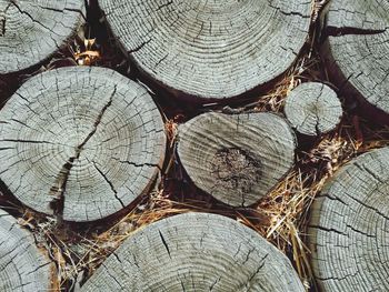 Full frame shot of logs