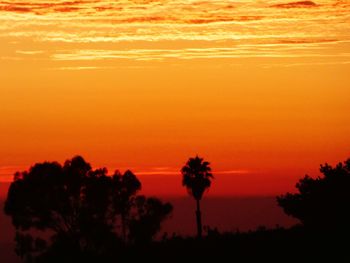 Silhouette trees against orange sky